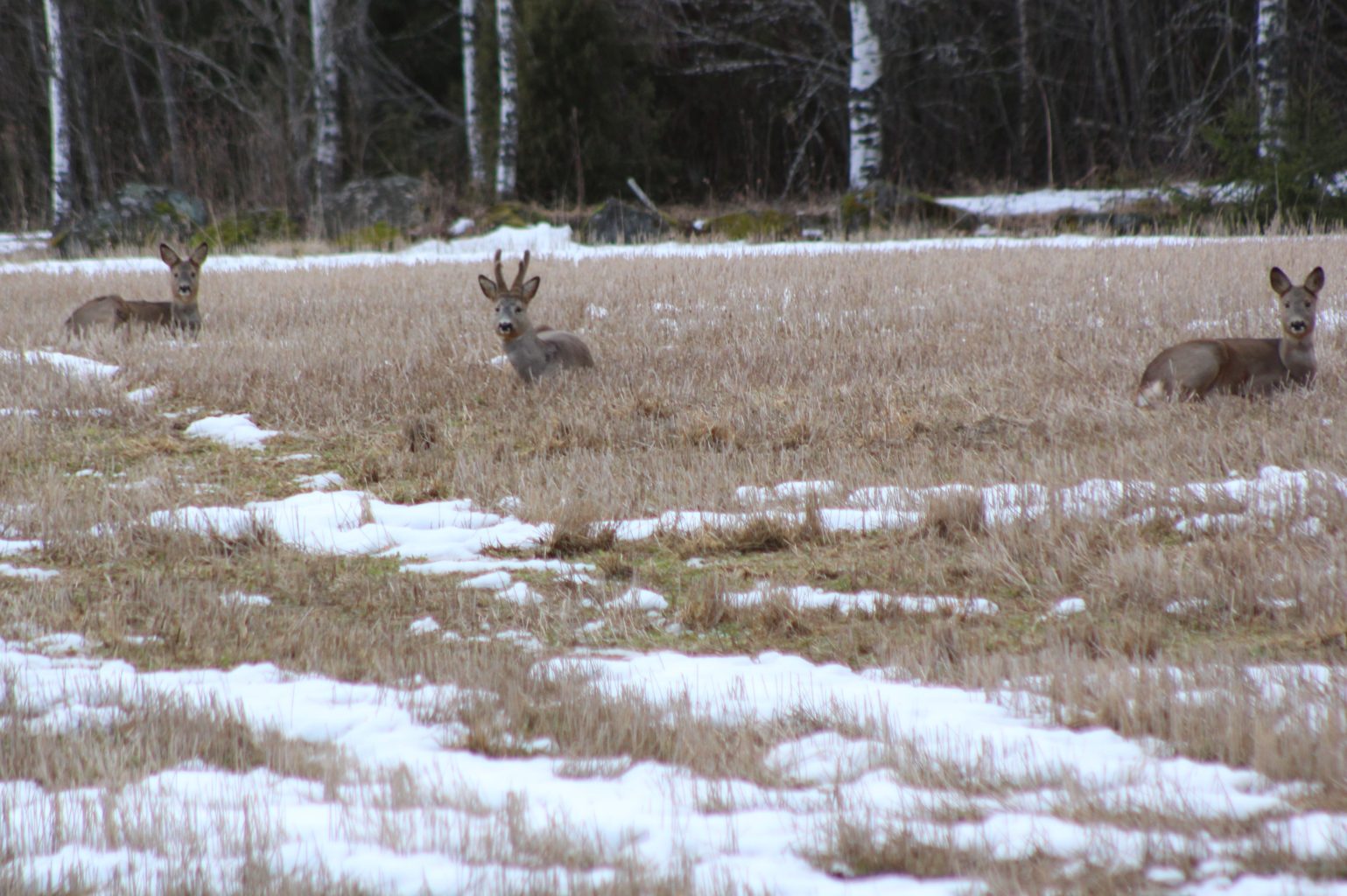 Valokuvaaja: Päivi Salonen