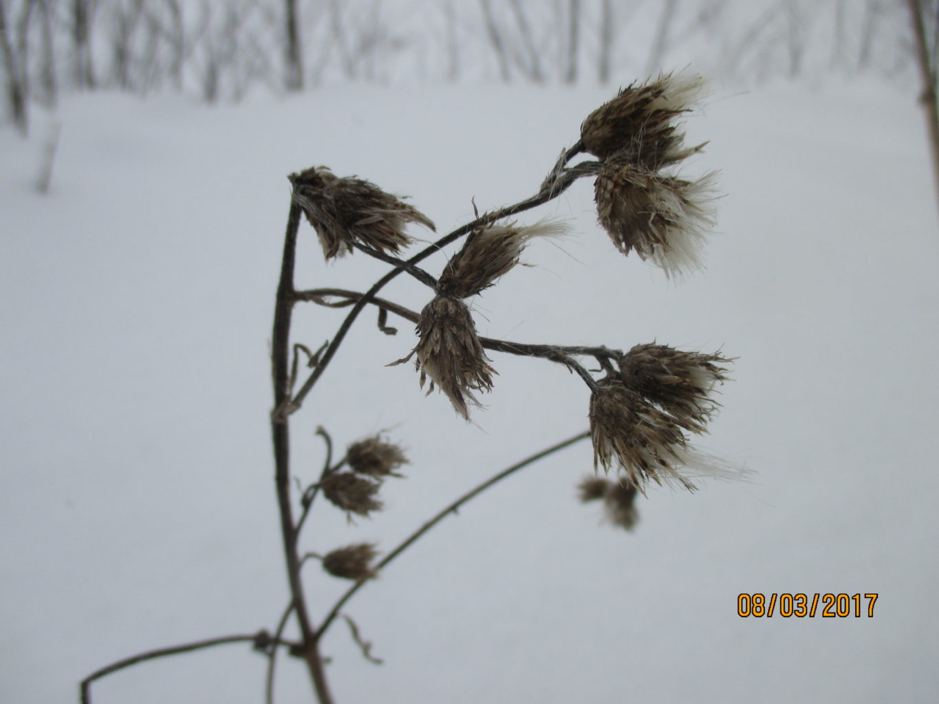 Valokuvaaja: yrjo lukkari