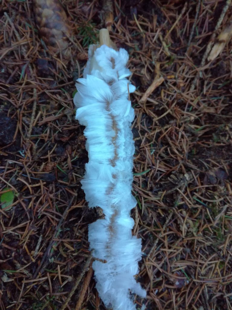 Valokuvaaja: Terhi Honkanen