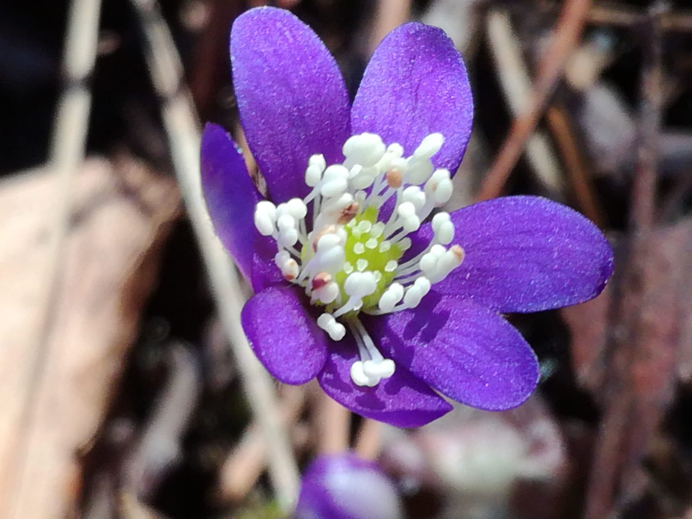 Valokuvaaja: Riitta Marjamäki