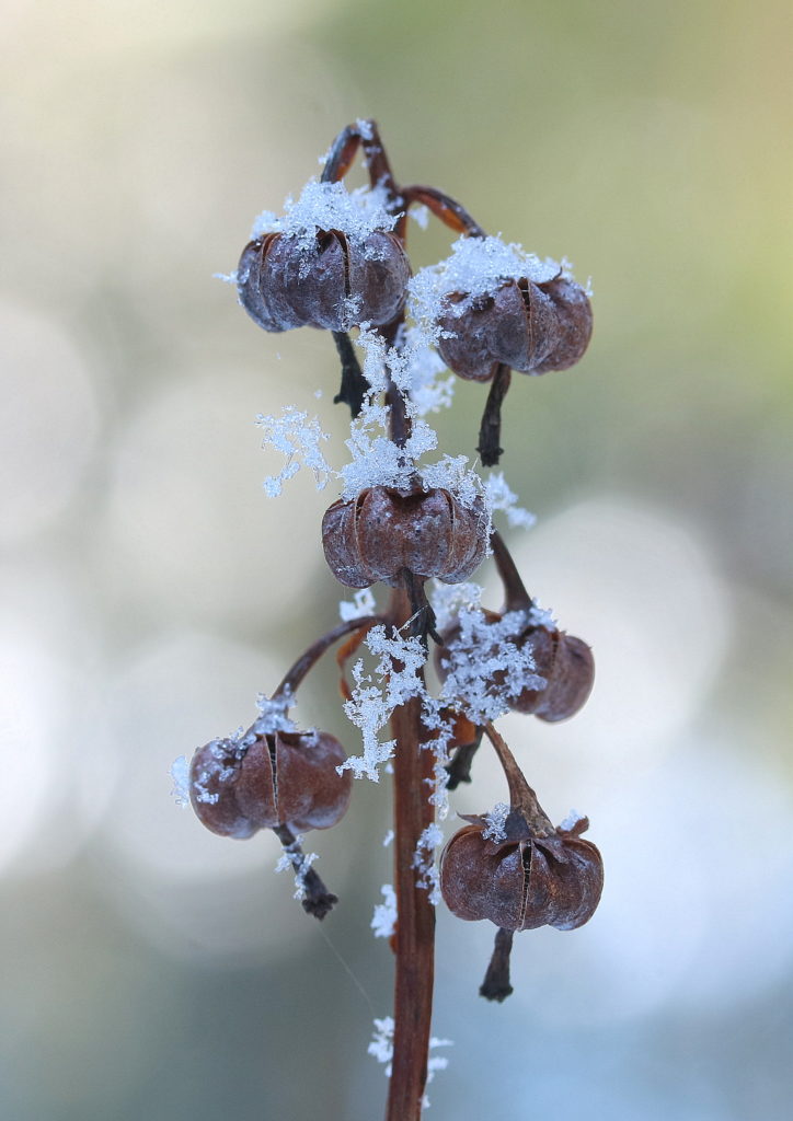 Valokuvaaja: Hannu Rasiranta