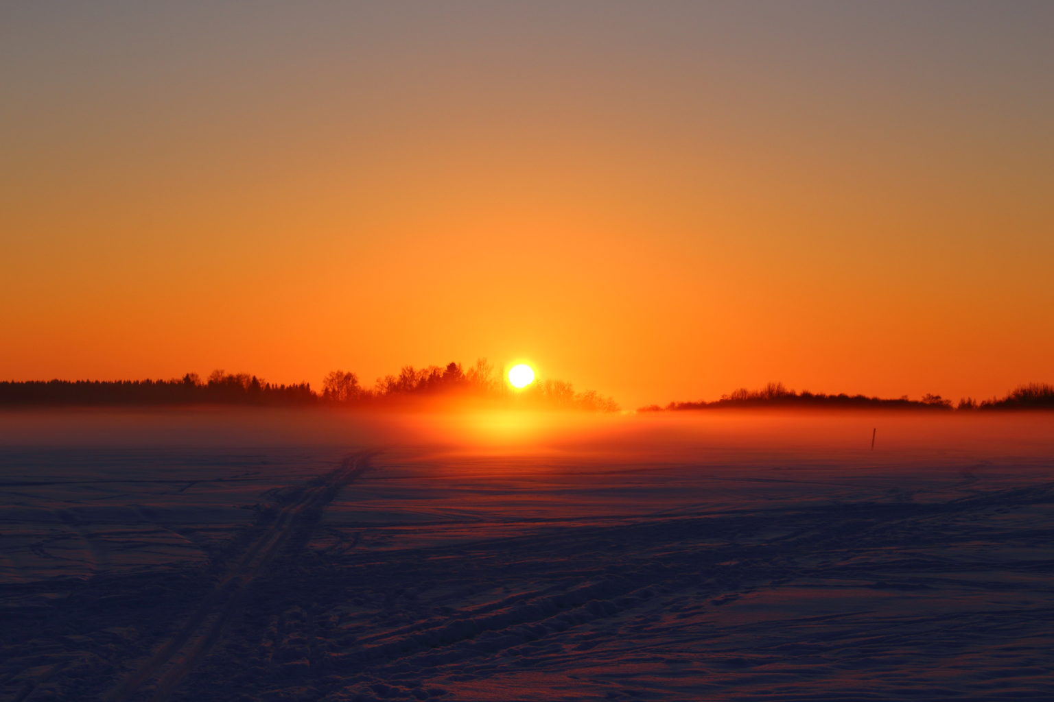 Valokuvaaja: Annukka Ahola