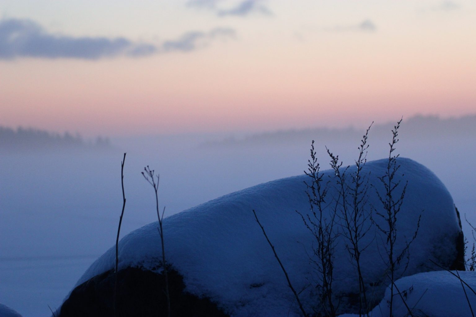Valokuvaaja: Irja Lehtinen