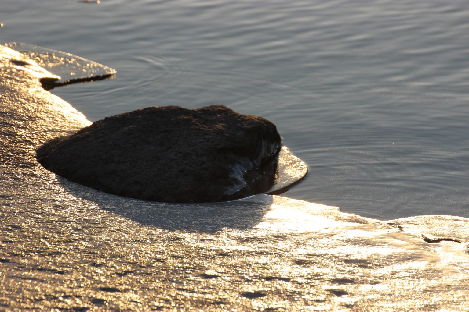 Valokuvaaja: Irja Lehtinen