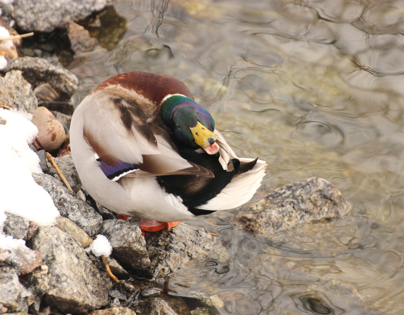 Valokuvaaja: Irja Lehtinen