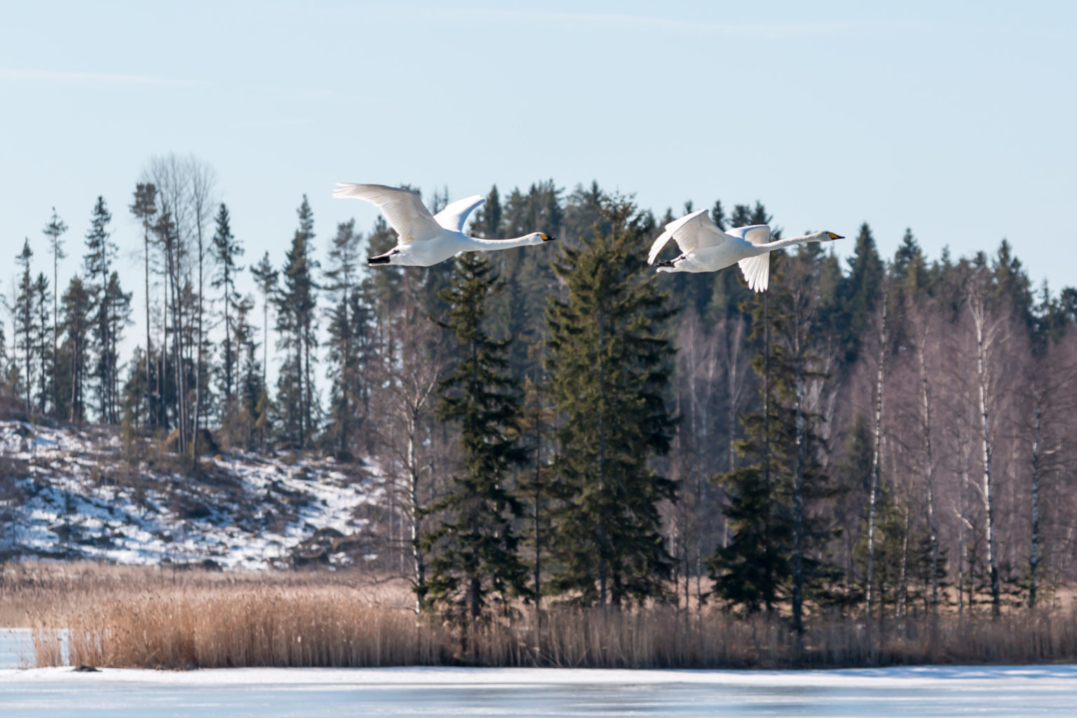 Valokuvaaja: Ari Tapaninen