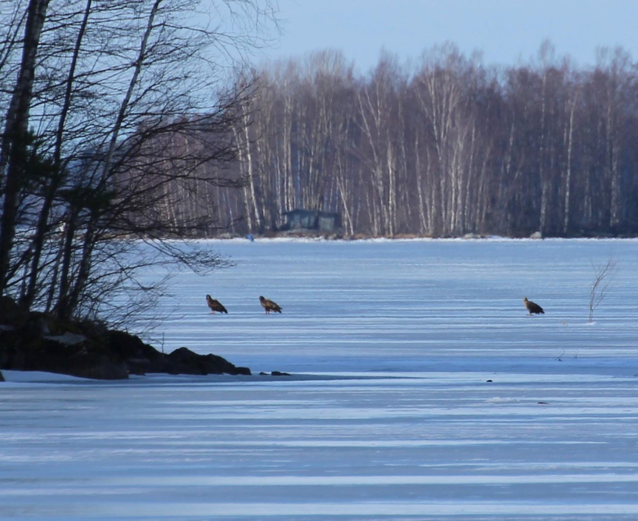 Valokuvaaja: Irja Lehtinen