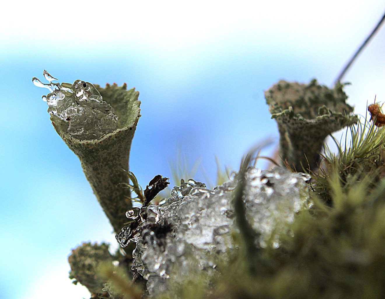 Valokuvaaja: Irja Lehtinen