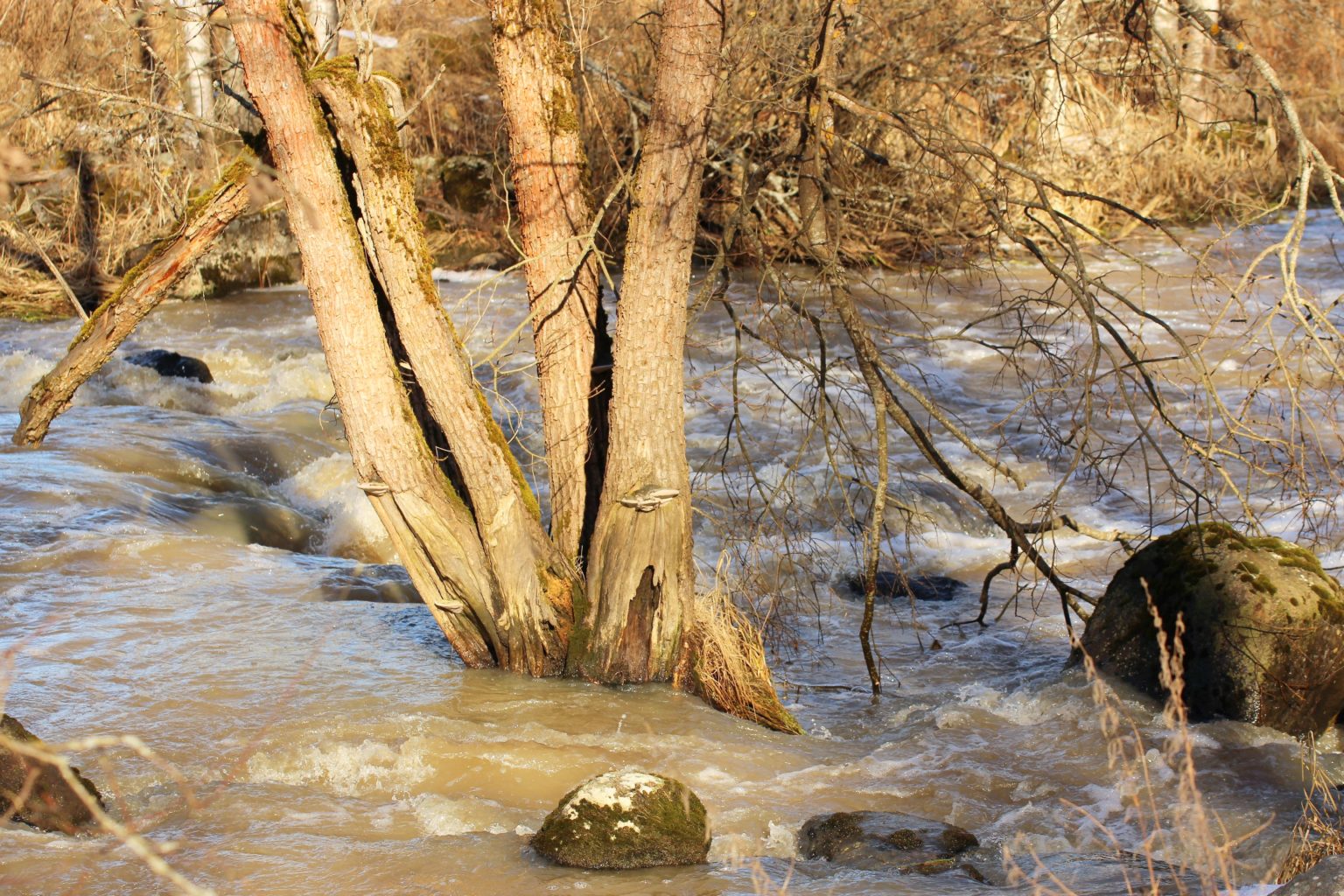 Valokuvaaja: Irja lehtinen
