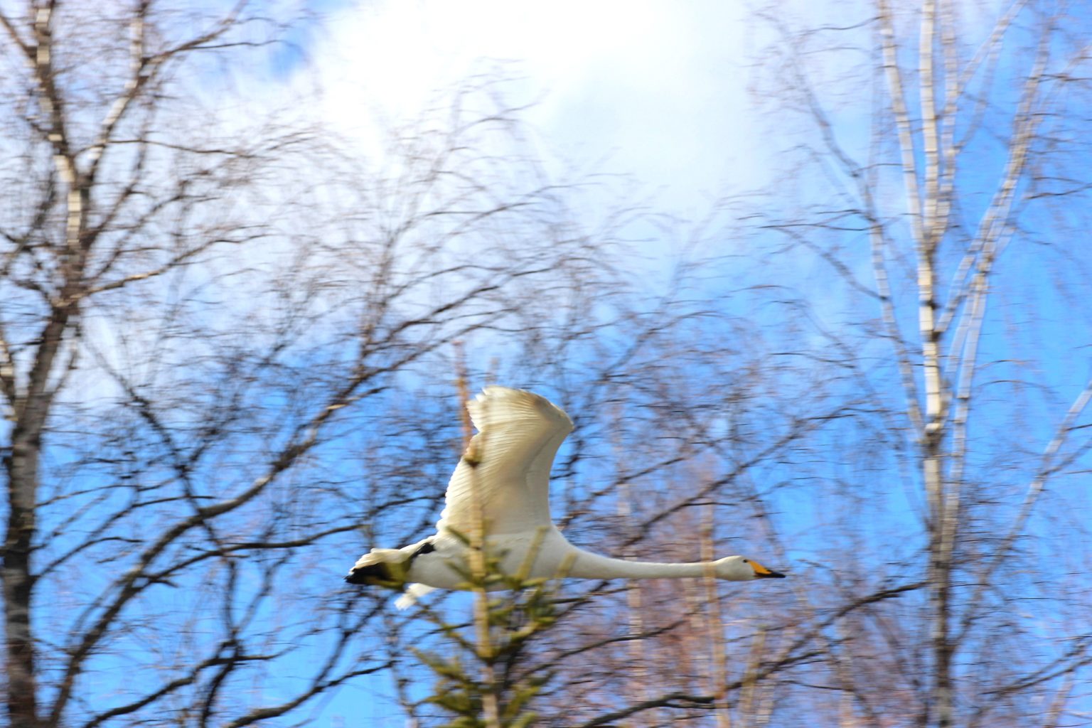 Valokuvaaja: Irja Lehtinen