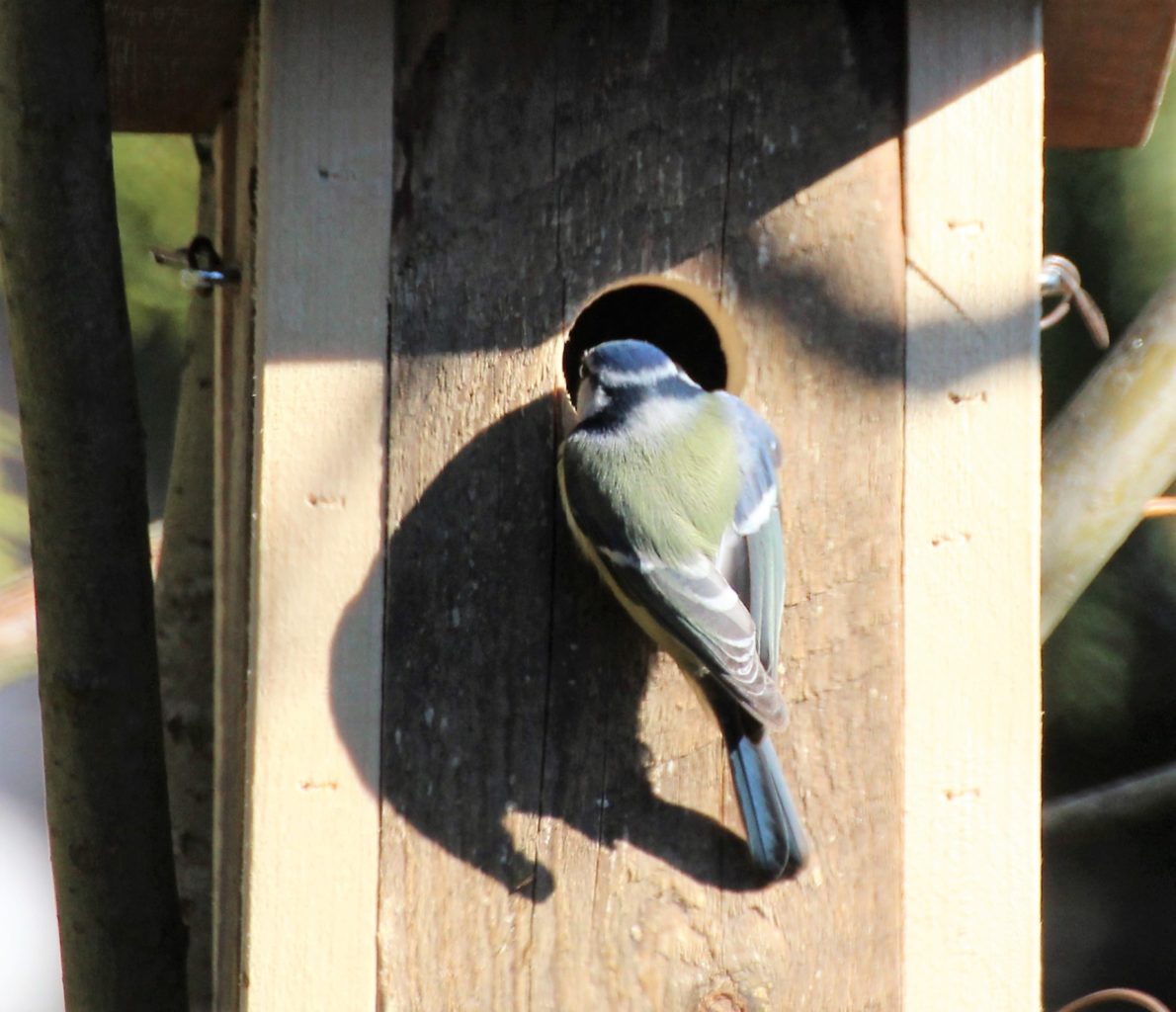 Valokuvaaja: Irja Lehtinen