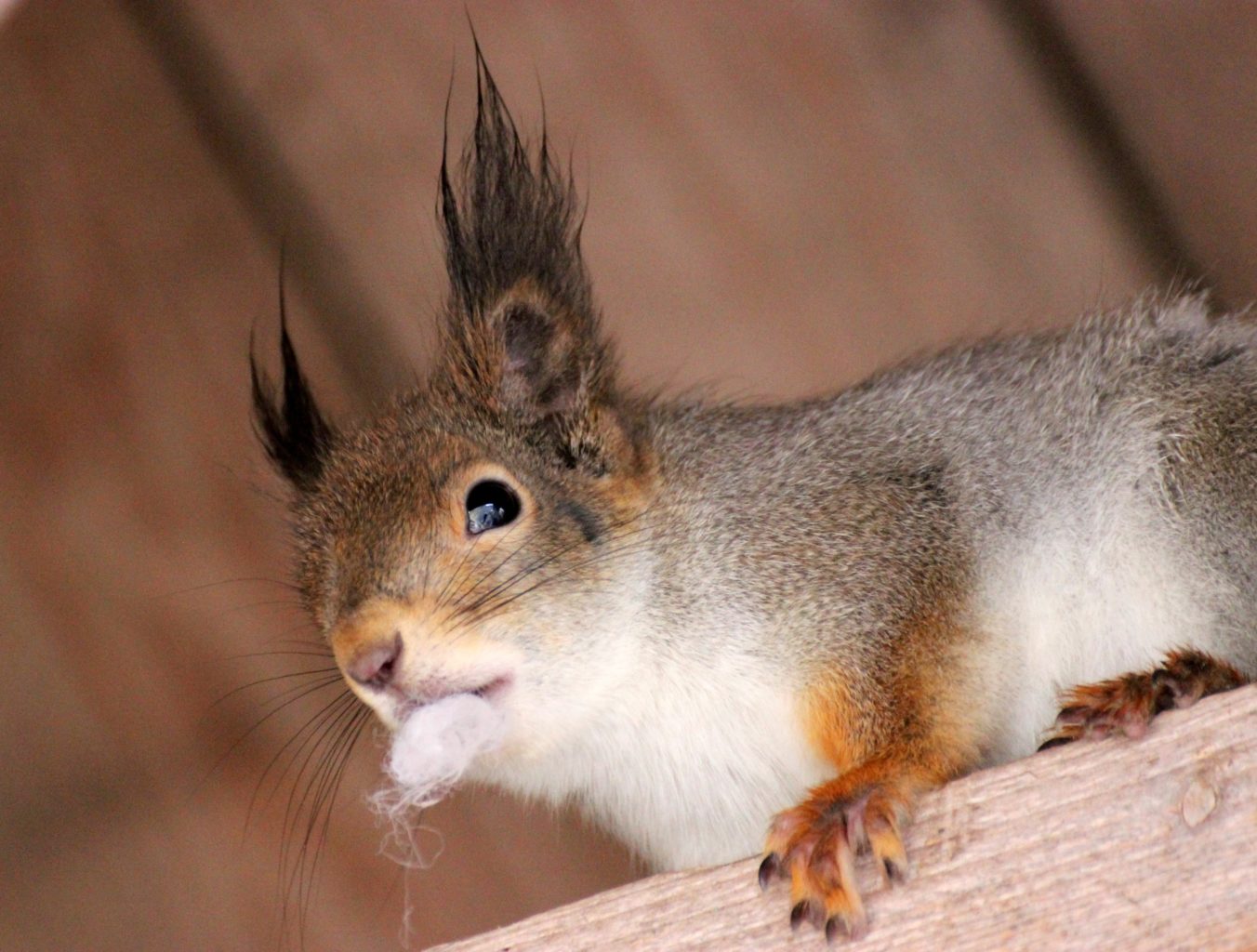 Valokuvaaja: Irja Lehtinen Valokuvaaja: Irja Lehtinen