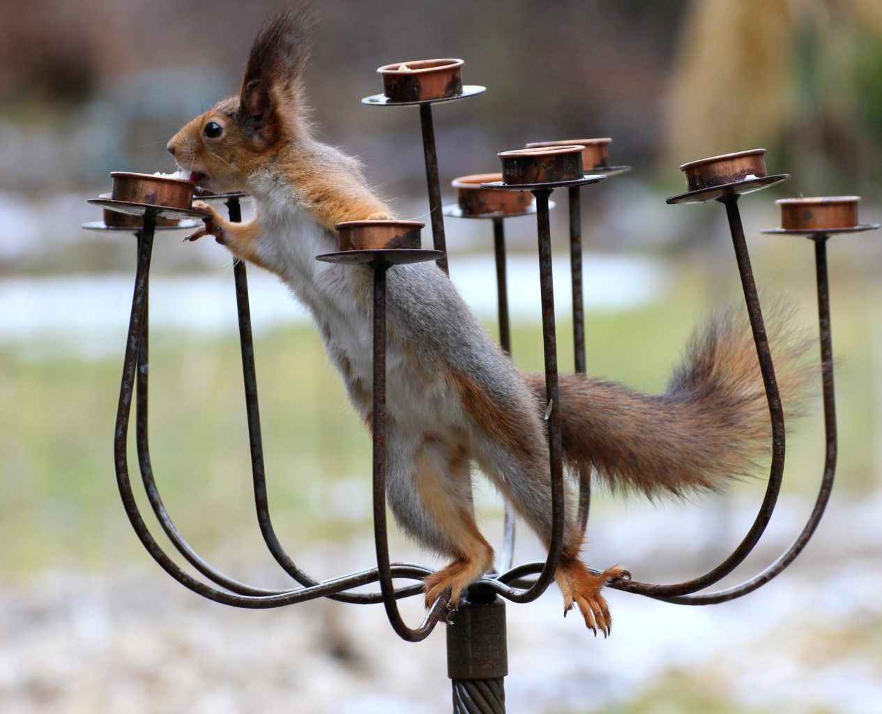 Valokuvaaja: Irja Lehtinen