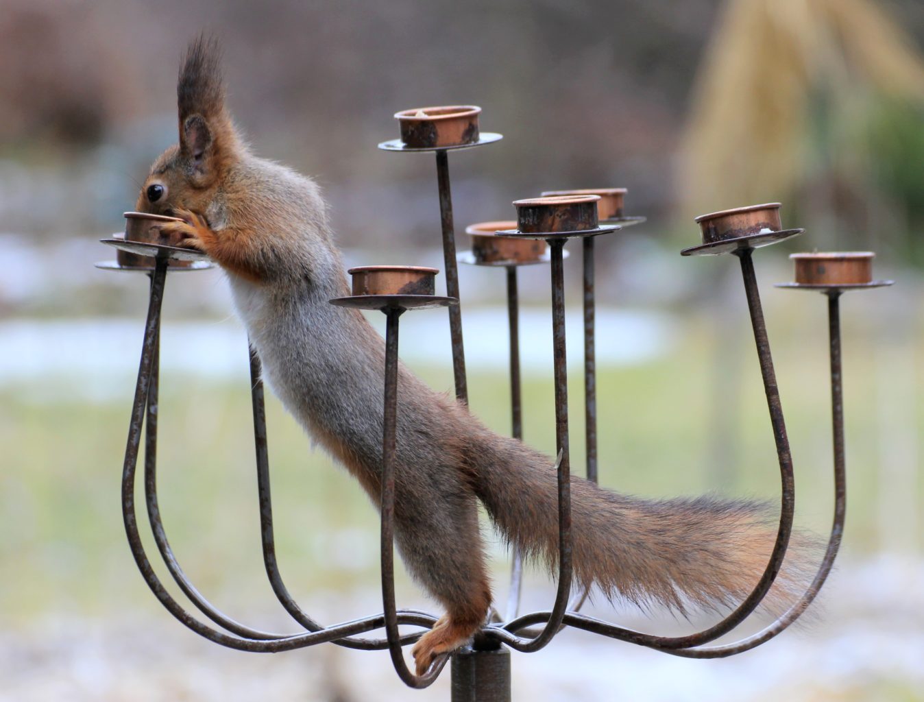 Valokuvaaja: Irja Lehtinen