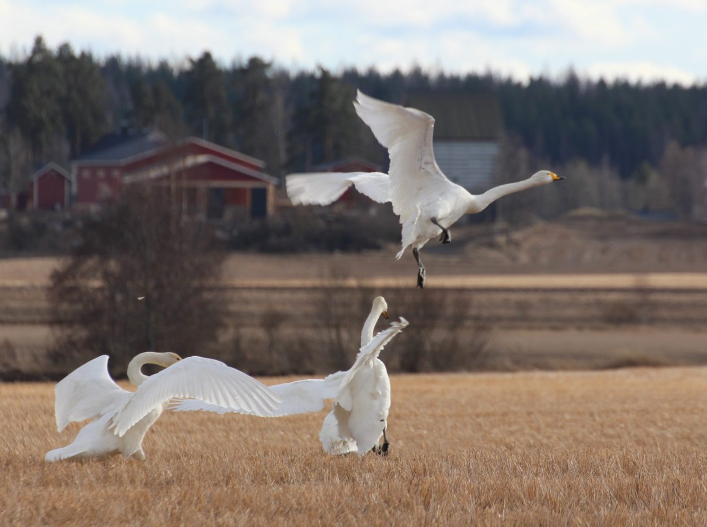 Valokuvaaja: Irja lehtinen