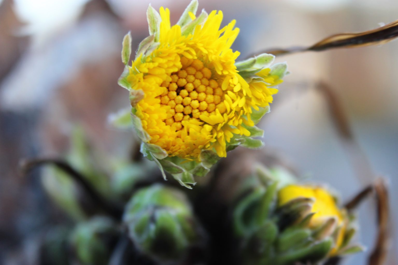 Valokuvaaja: Irja Lehtinen