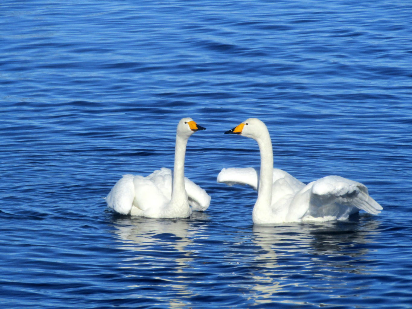 Valokuvaaja: Sirkka Ruotoistenmäki