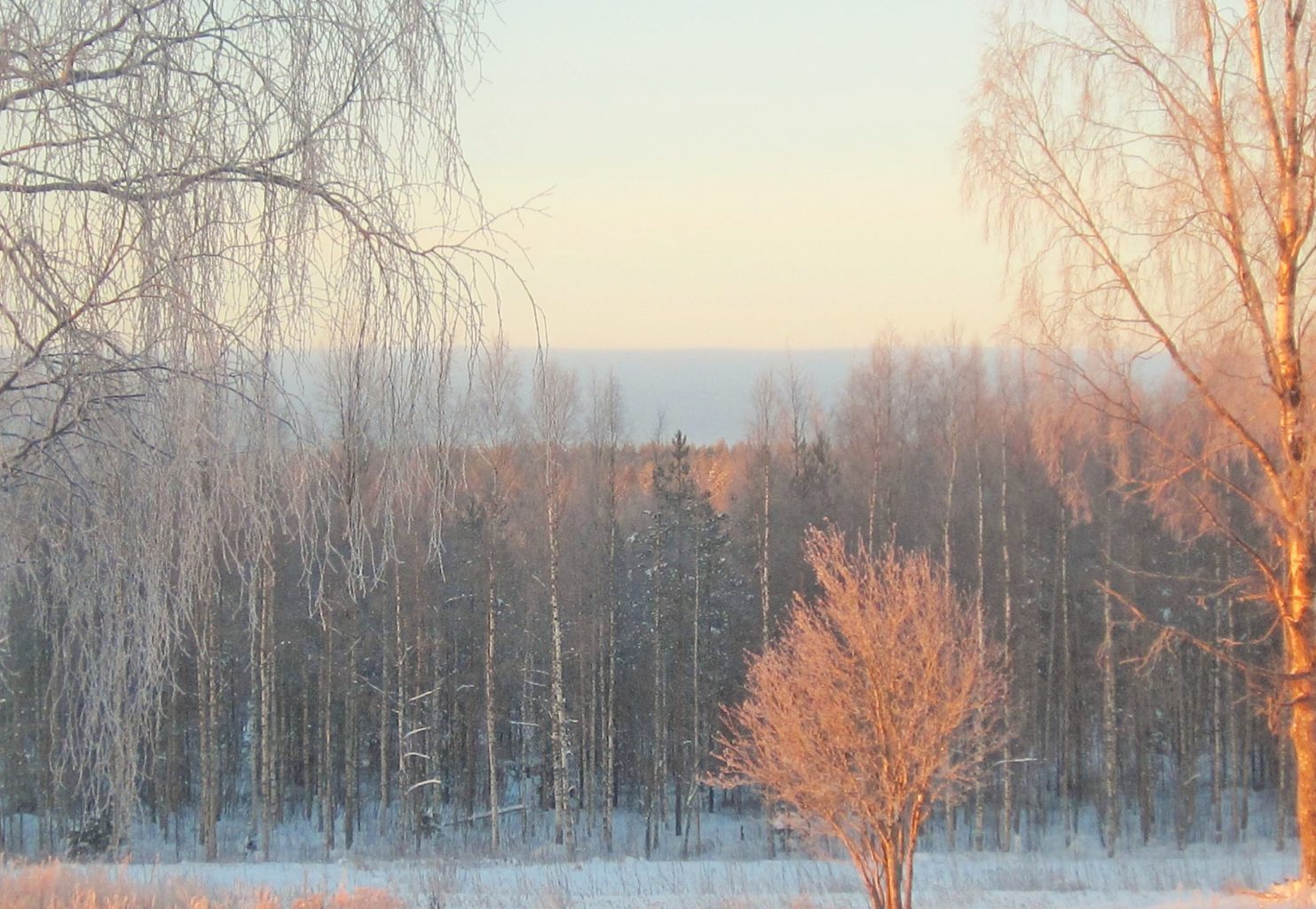 Valokuvaaja: Pirkko Hautamäki
