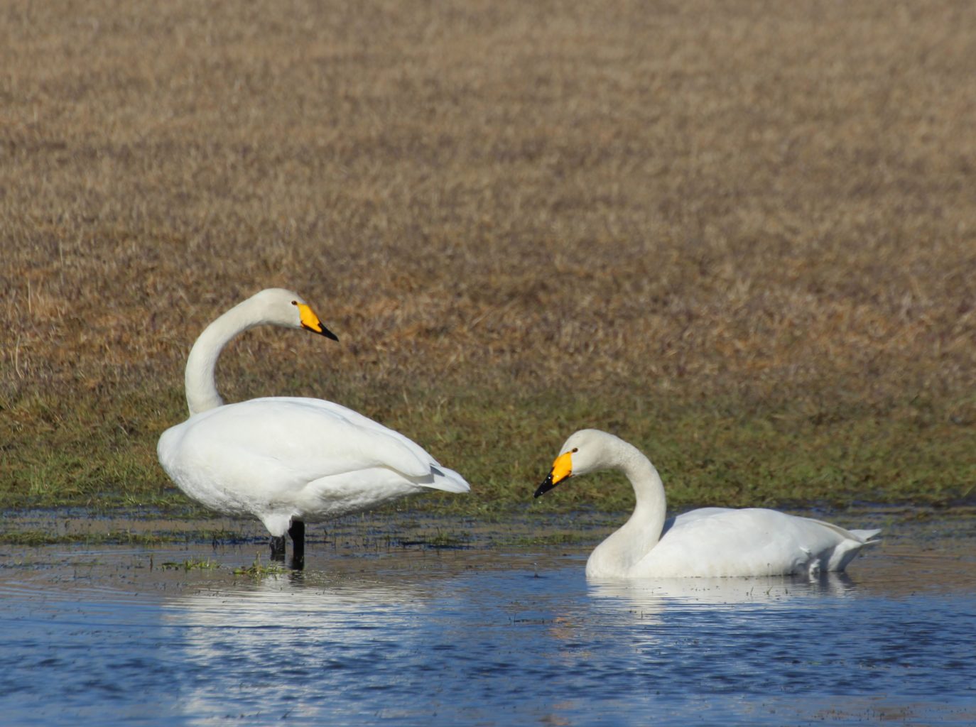 Valokuvaaja: Irja Lehtinen