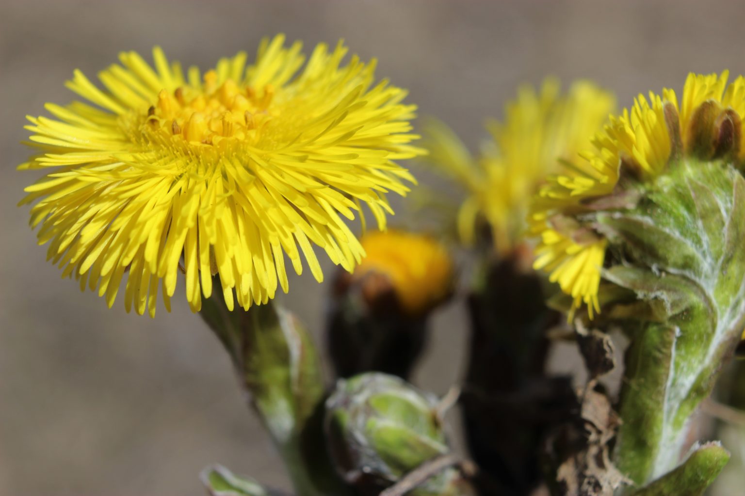 Valokuvaaja: Irja lehtinen Valokuvaaja: Irja lehtinen