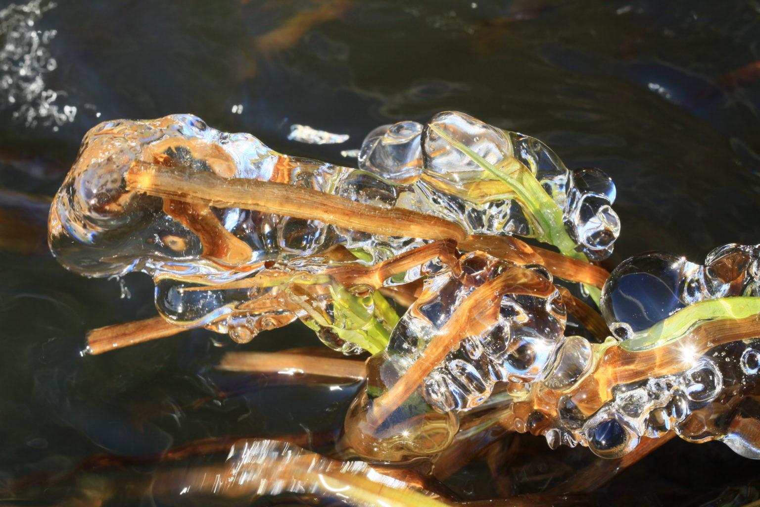 Valokuvaaja: Berndt Hannelius