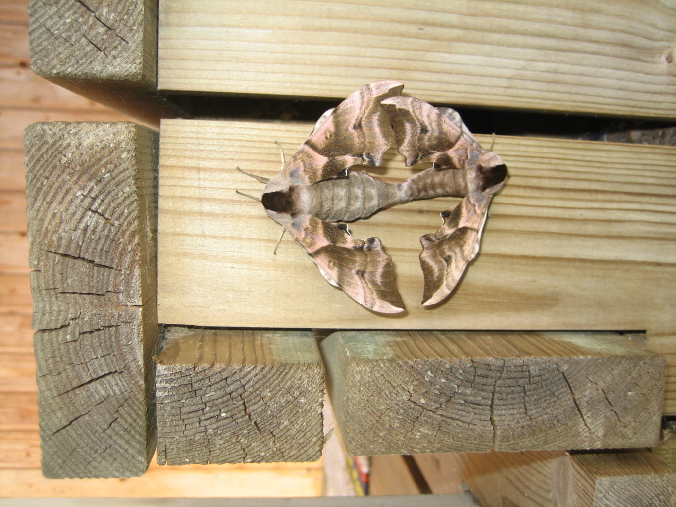 Valokuvaaja: Sirpa Lund