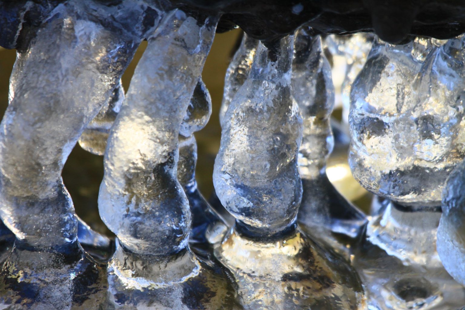 Valokuvaaja: Berndt Hannelius