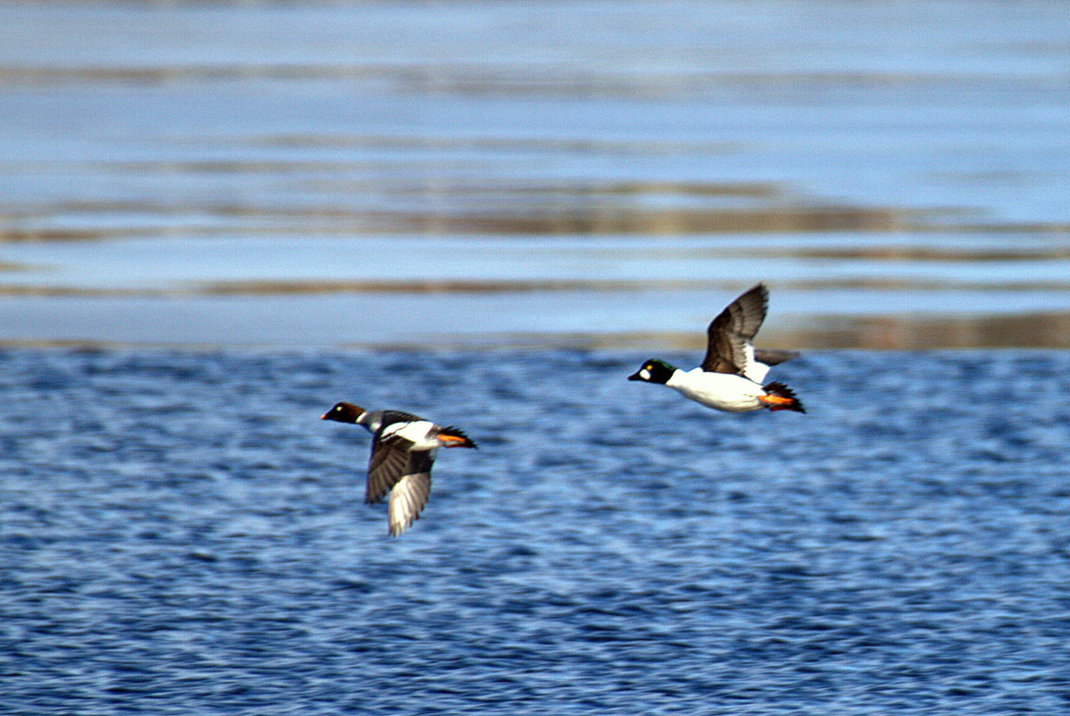 Valokuvaaja: Sirpa Jyske