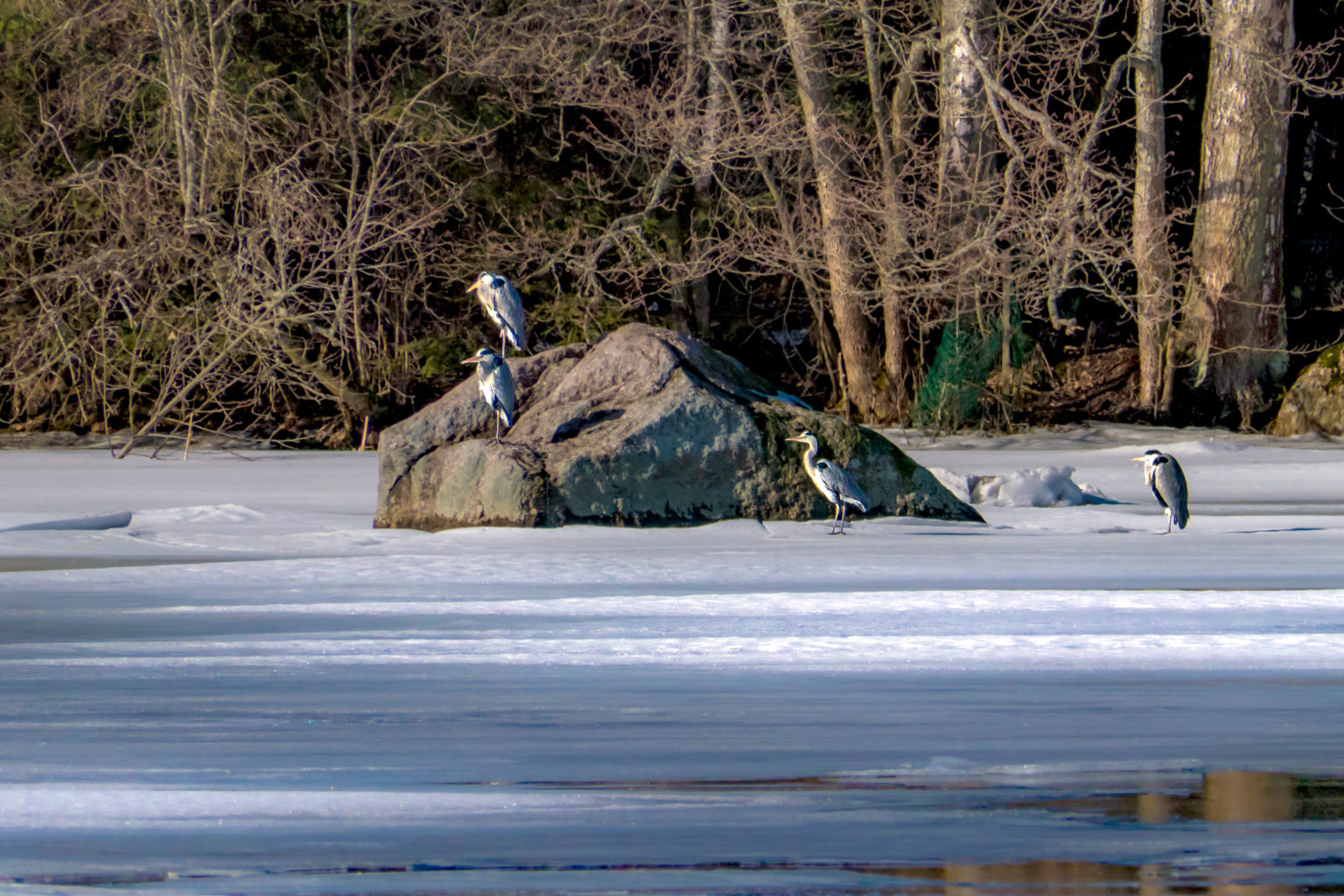 Valokuvaaja: Carl Irjala