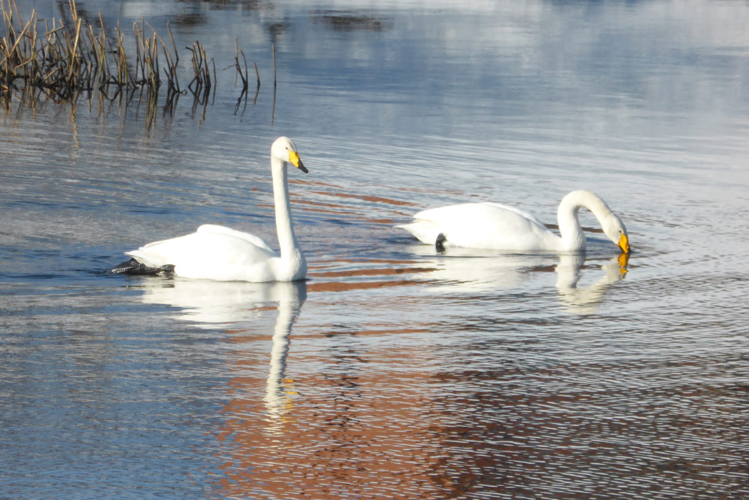 Valokuvaaja: Kalle Asikainen