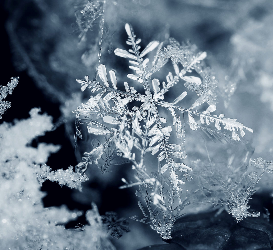 Valokuvaaja: Tarja Porkkala