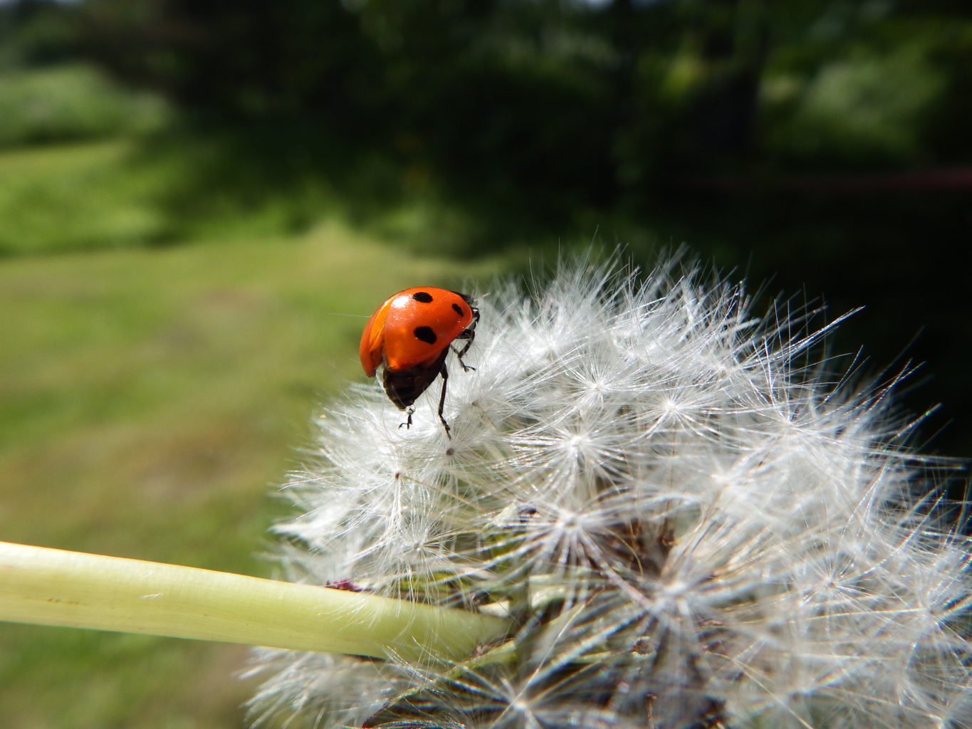 Valokuvaaja: Toni Asikainen Valokuvaaja: Toni Asikainen