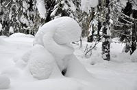 Valokuvaaja: Hannu Iivonen