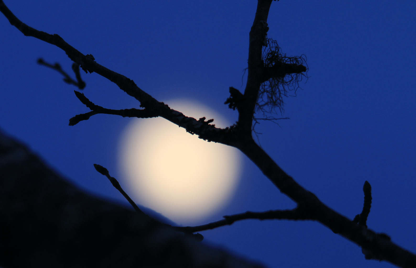 Valokuvaaja: Anne Tuunanen