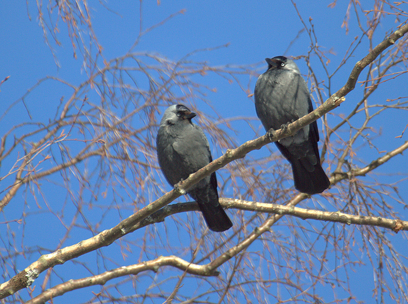 Valokuvaaja: Sirpa Jyske