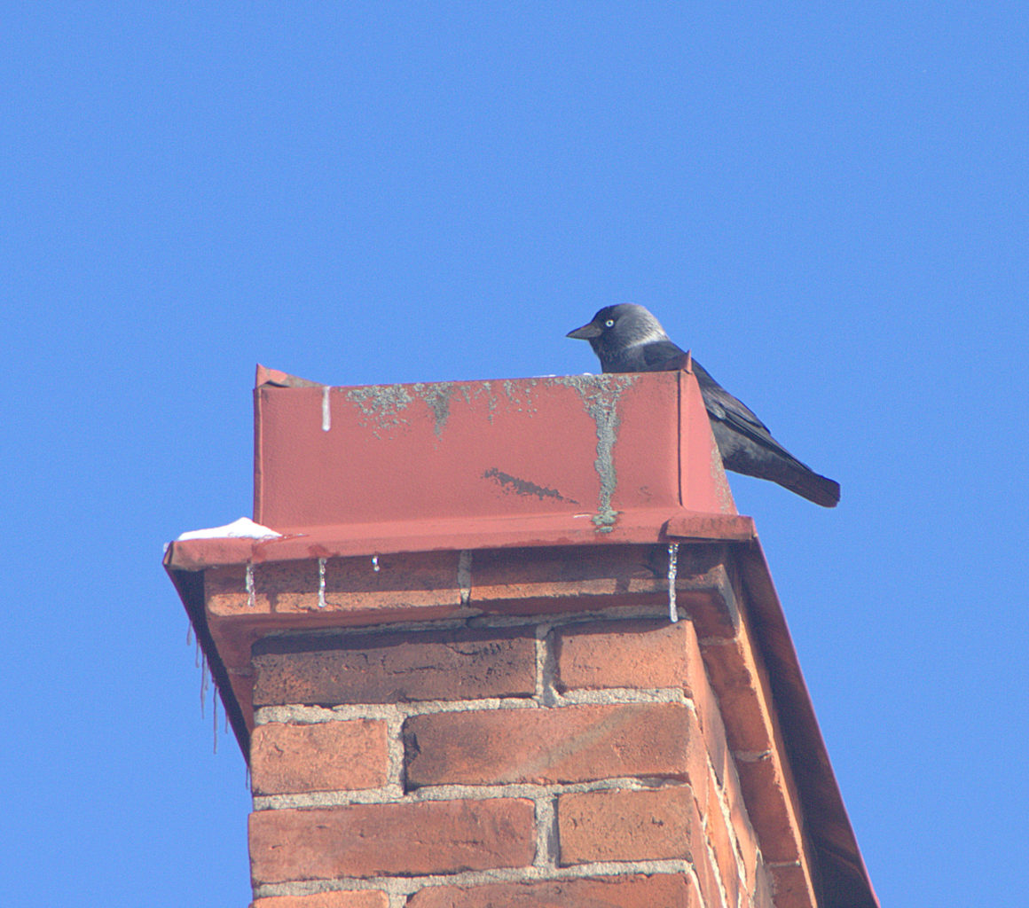 Valokuvaaja: Sirpa Jyske