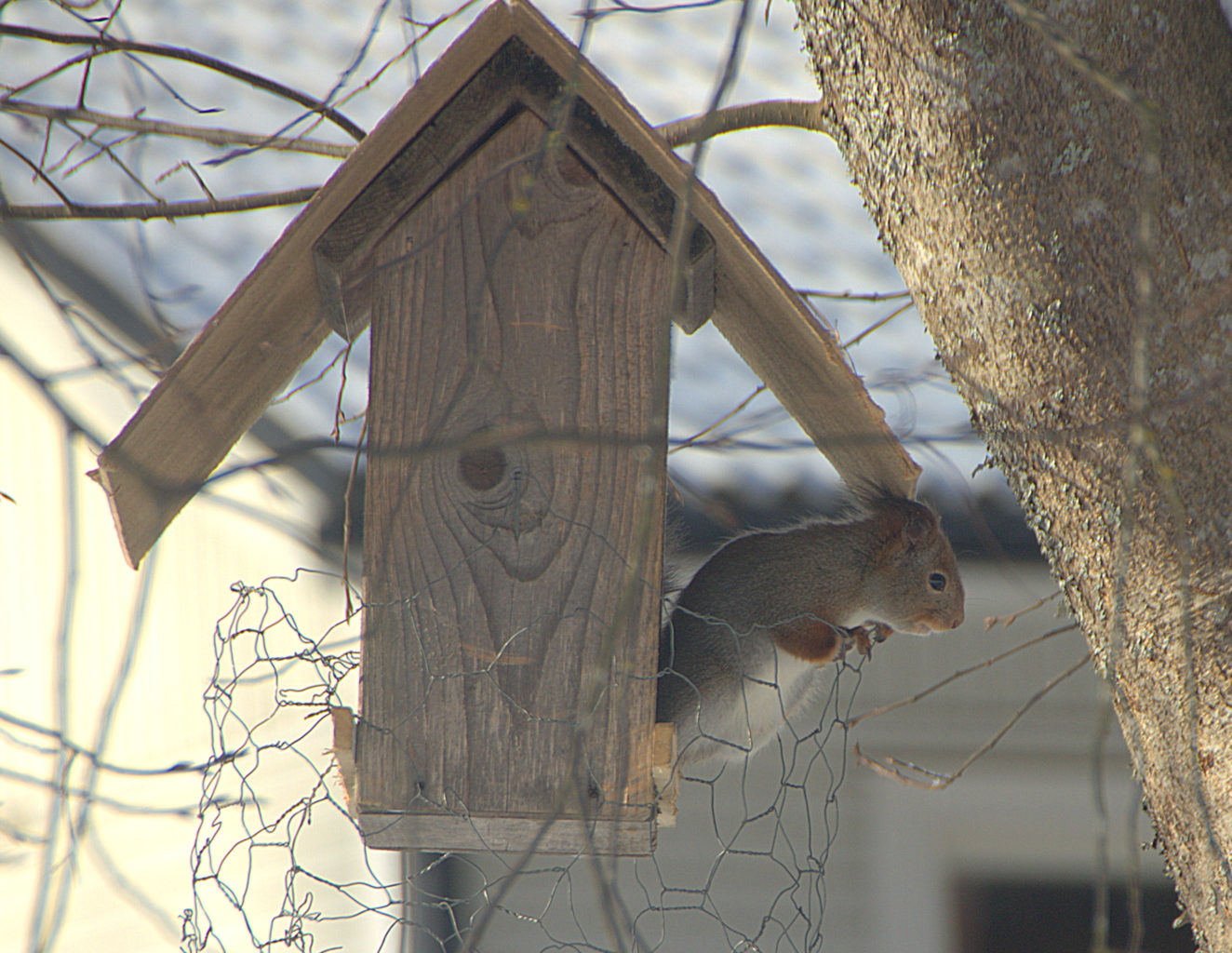 Valokuvaaja: Sirpa Jyske Valokuvaaja: Sirpa Jyske