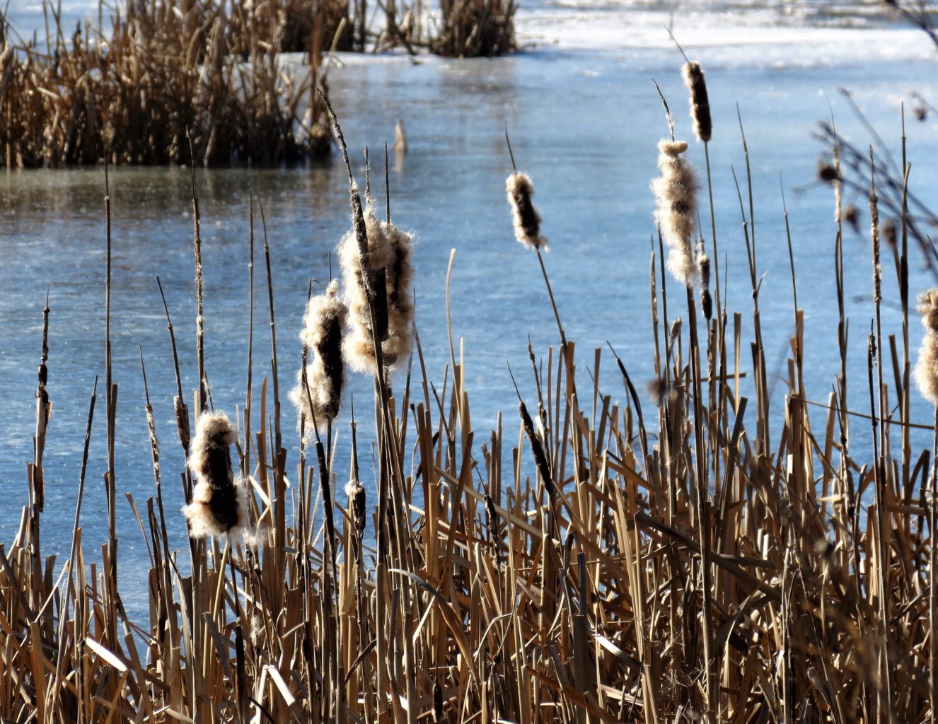 Valokuvaaja: Jukka Rönkä