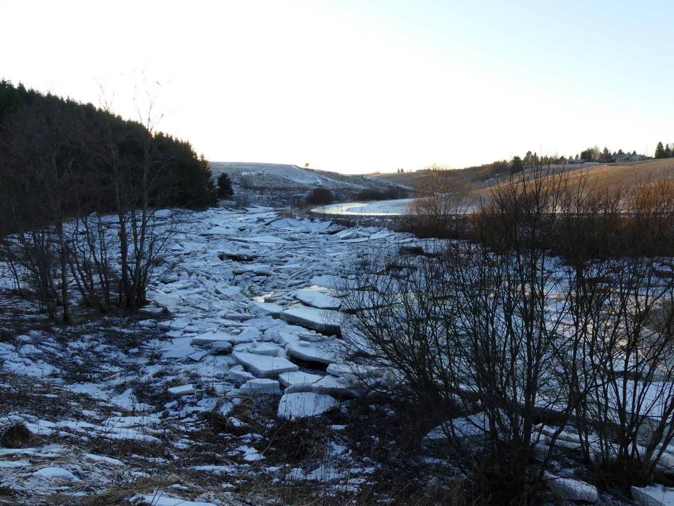 Valokuvaaja: Kari Aaltonen
