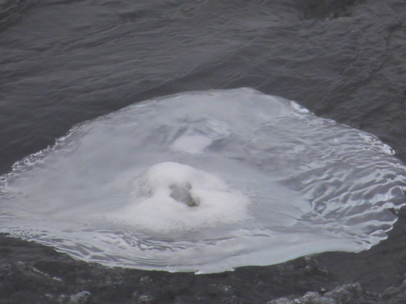 Valokuvaaja: Hannu Rissanen