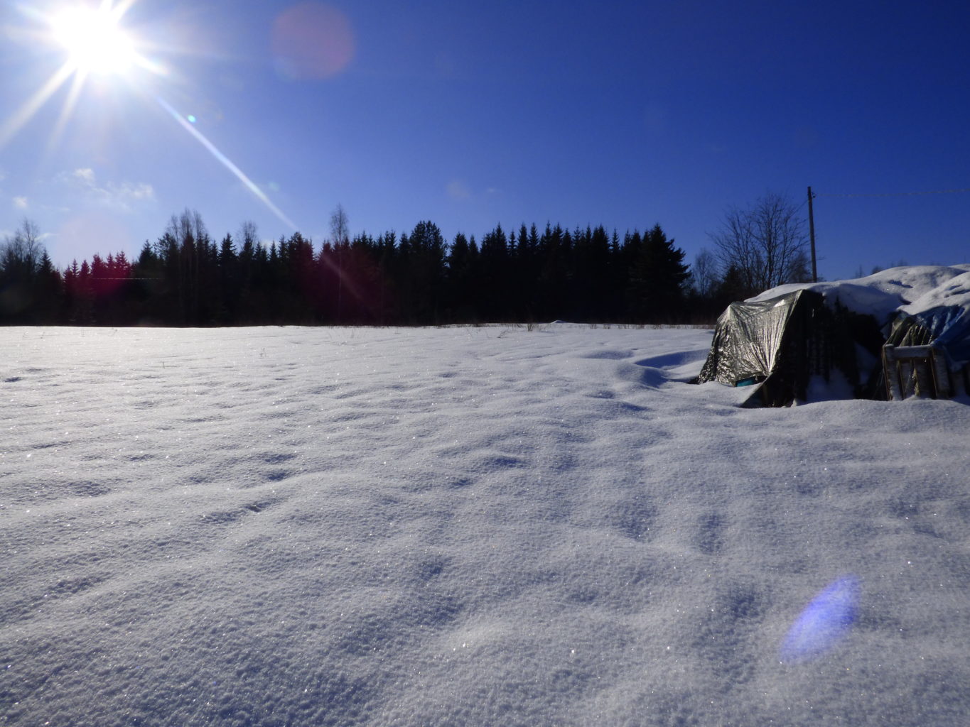 Valokuvaaja: Hannu Rissanen Valokuvaaja: Hannu Rissanen