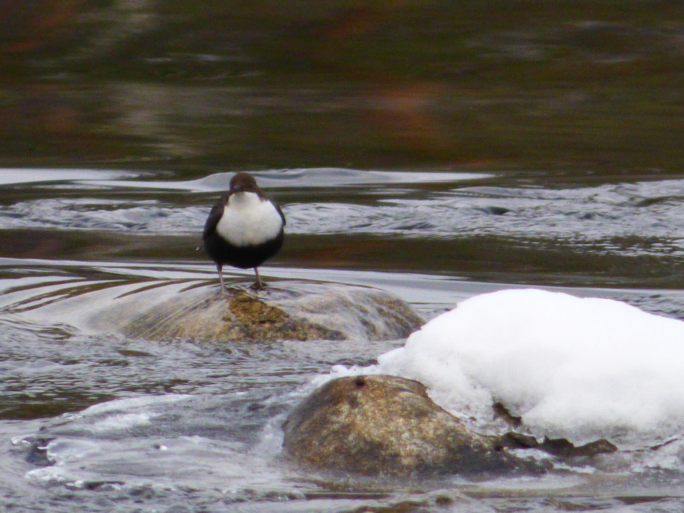 Valokuvaaja: Hannu issanen