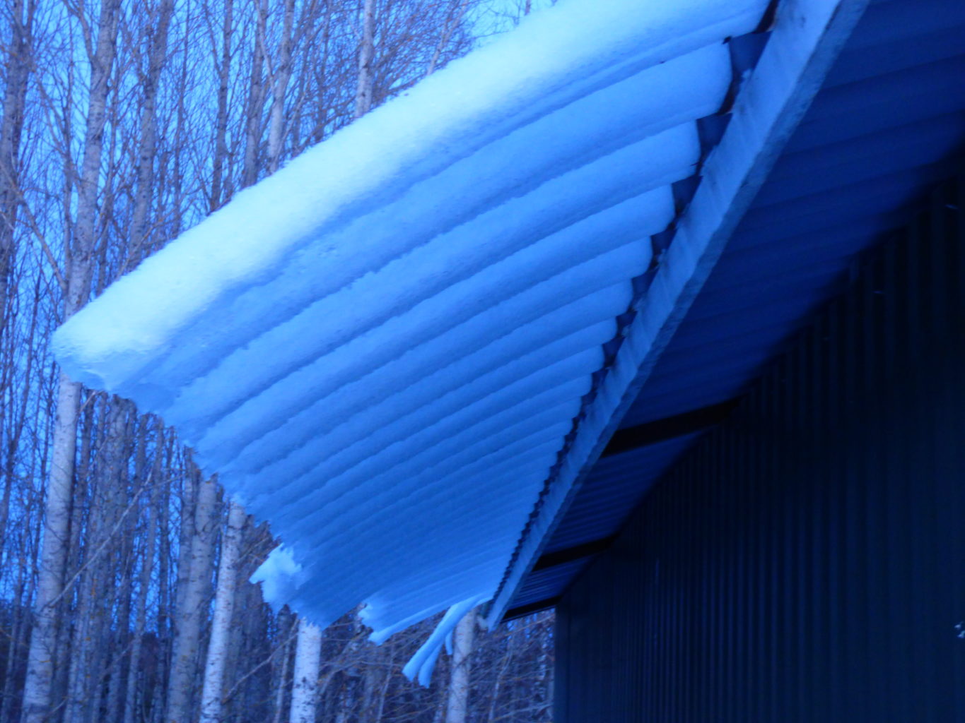 Valokuvaaja: Hannu Rissanen