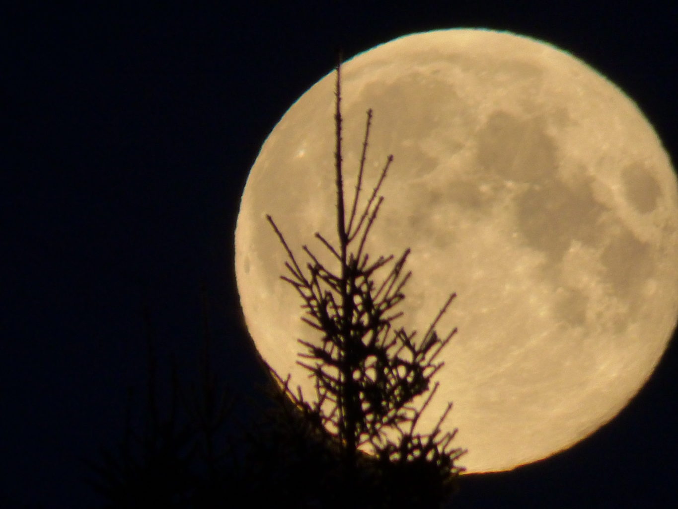 Valokuvaaja: Hannu Rissanen