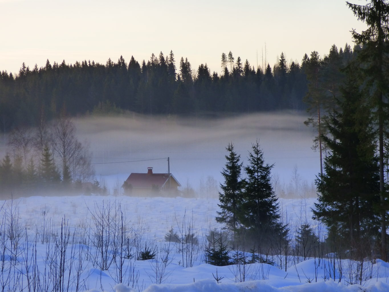 Valokuvaaja: Hannu Rissanen Valokuvaaja: Hannu Rissanen