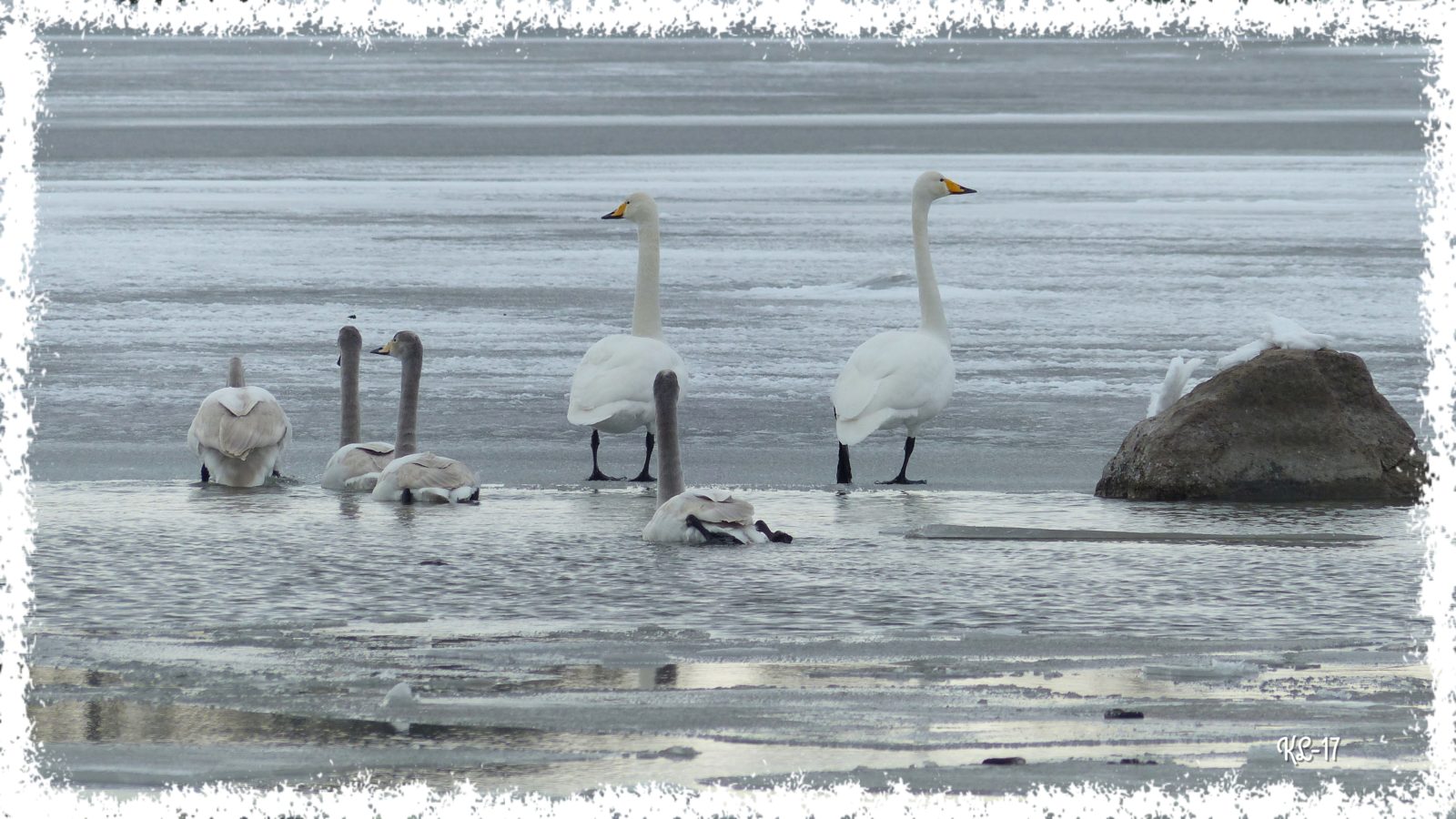 Valokuvaaja: Katri Lehtonen