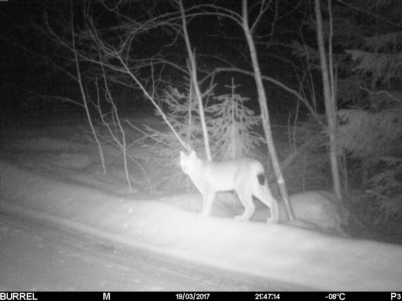 Valokuvaaja: Hannu Rissanen