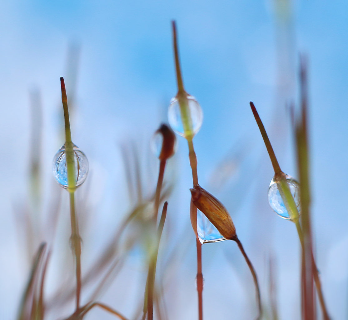 Valokuvaaja: Tarja Porkkala