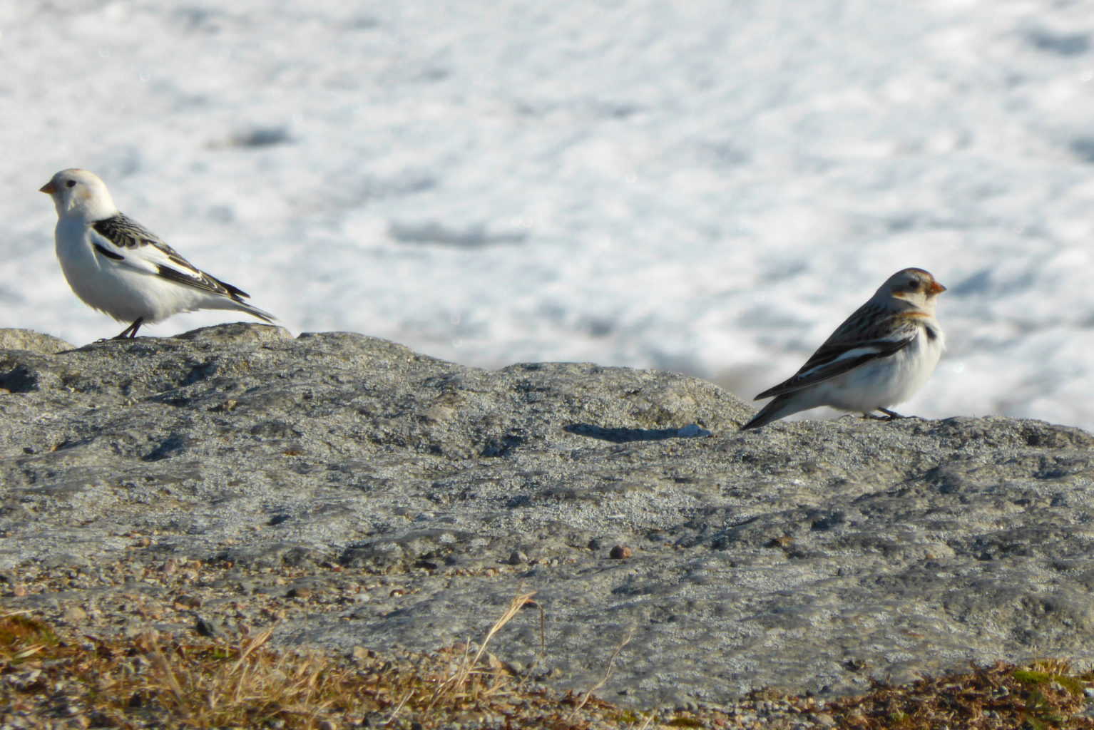 Valokuvaaja: Kalle Asikainen