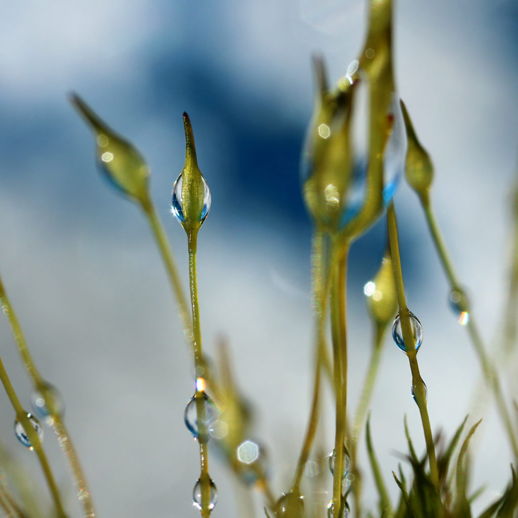 Valokuvaaja: Tarja Porkkala